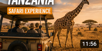 Tanzania: safari al amanecer